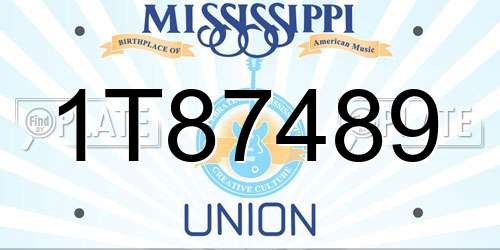 1T87489 Mississippi License Plate