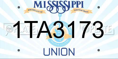 1TA3173 Mississippi License Plate