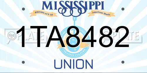 1TA8482 Mississippi License Plate