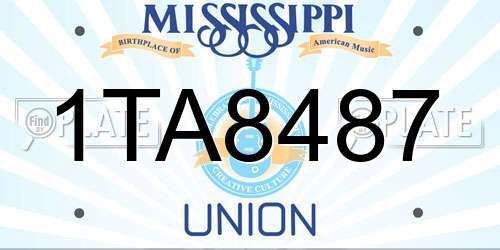 1TA8487 Mississippi License Plate