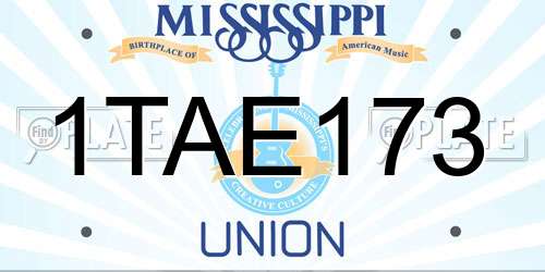 1TAE173 Mississippi License Plate