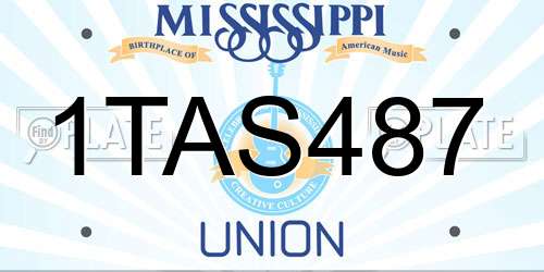 1TAS487 Mississippi License Plate