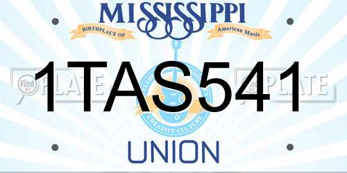 1TAS541 Mississippi License Plate