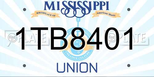 1TB8401 Mississippi License Plate