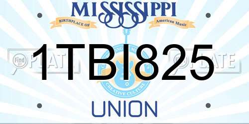 1TBI825 Mississippi License Plate