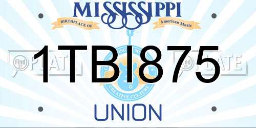 1TBI875 Mississippi License Plate