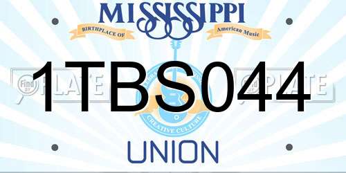 1TBS044 Mississippi License Plate