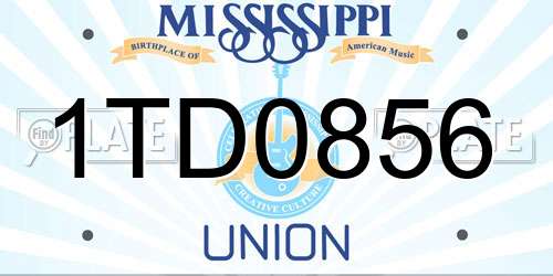 1TD0856 Mississippi License Plate