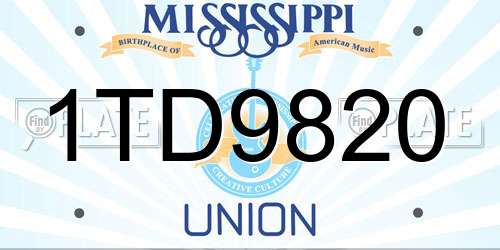 1TD9820 Mississippi License Plate