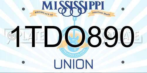 1TDO890 Mississippi License Plate