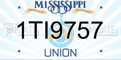 1TI9757 Mississippi License Plate