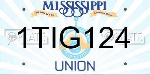 1TIG124 Mississippi License Plate