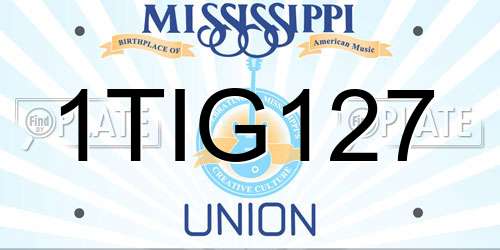 1TIG127 Mississippi License Plate