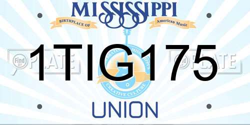1TIG175 Mississippi License Plate