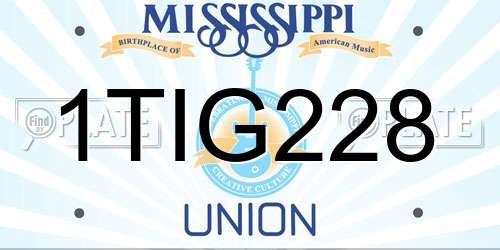 1TIG228 Mississippi License Plate