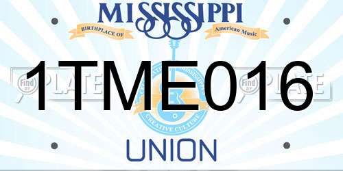 1TME016 Mississippi License Plate