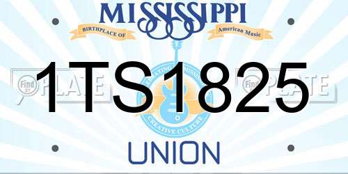 1TS1825 Mississippi License Plate