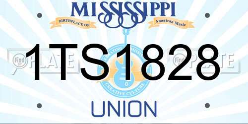 1TS1828 Mississippi License Plate