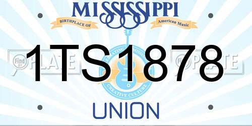 1TS1878 Mississippi License Plate