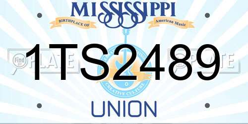 1TS2489 Mississippi License Plate