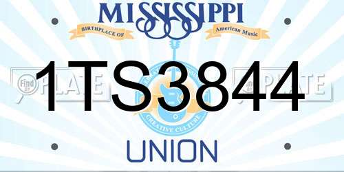 1TS3844 Mississippi License Plate