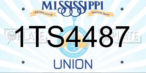 1TS4487 Mississippi License Plate