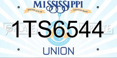 1TS6544 Mississippi License Plate