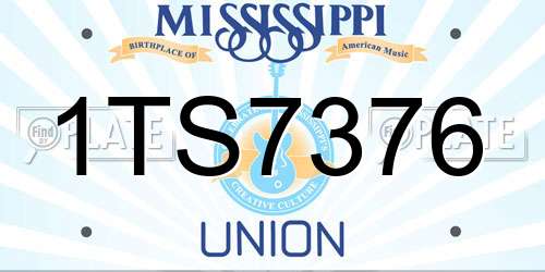 1TS7376 Mississippi License Plate
