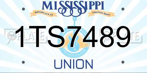 1TS7489 Mississippi License Plate