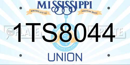 1TS8044 Mississippi License Plate