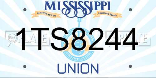 1TS8244 Mississippi License Plate