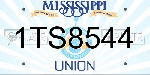 1TS8544 Mississippi License Plate