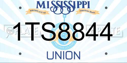 1TS8844 Mississippi License Plate