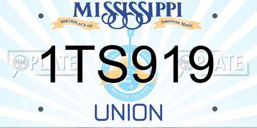 1TS919 Mississippi License Plate