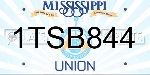 1TSB844 Mississippi License Plate