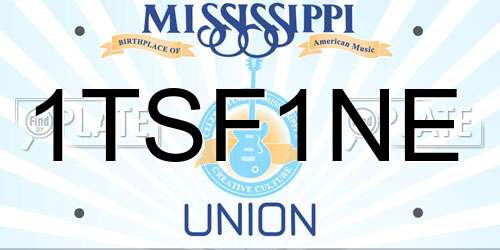 1TSF1NE Mississippi License Plate