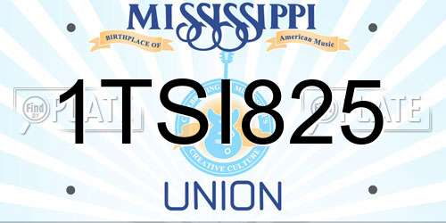 1TSI825 Mississippi License Plate