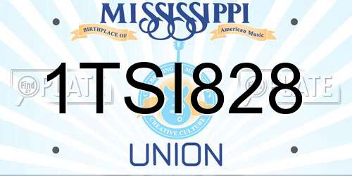 1TSI828 Mississippi License Plate