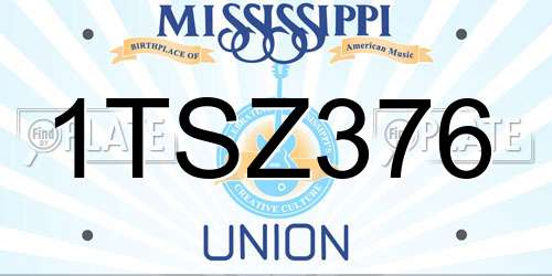 1TSZ376 Mississippi License Plate