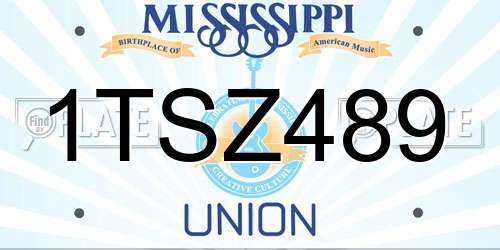 1TSZ489 Mississippi License Plate