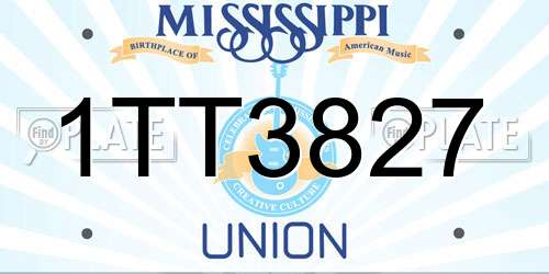 1TT3827 Mississippi License Plate