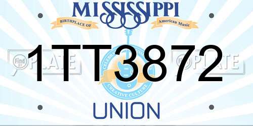 1TT3872 Mississippi License Plate