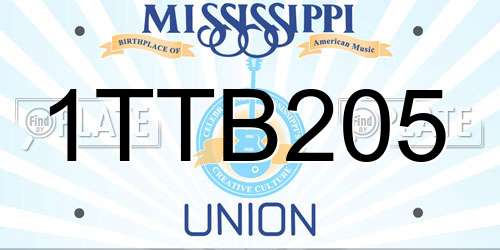 1TTB205 Mississippi License Plate