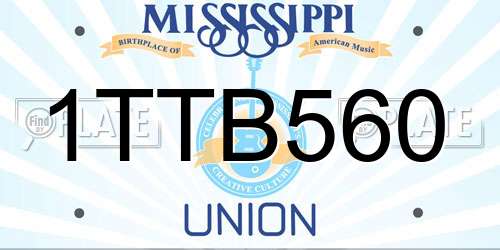 1TTB560 Mississippi License Plate