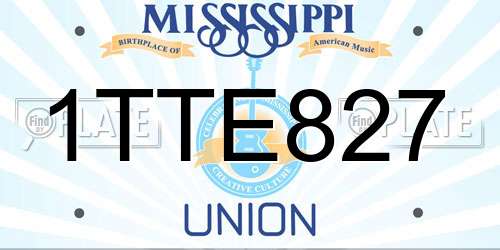 1TTE827 Mississippi License Plate