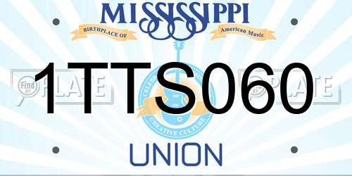 1TTS060 Mississippi License Plate