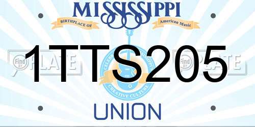 1TTS205 Mississippi License Plate