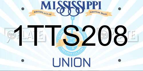 1TTS208 Mississippi License Plate