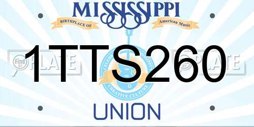 1TTS260 Mississippi License Plate