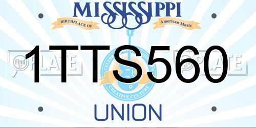 1TTS560 Mississippi License Plate